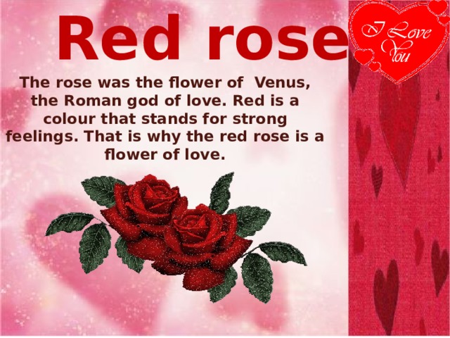 Red rose The rose was the flower of Venus, the Roman god of love. Red is a colour that stands for strong feelings. That is why the red rose is a flower of love. 