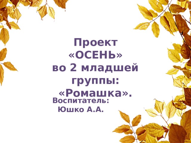 Проект  «ОСЕНЬ» во 2 младшей группы:  «Ромашка». Воспитатель: Юшко А.А. 