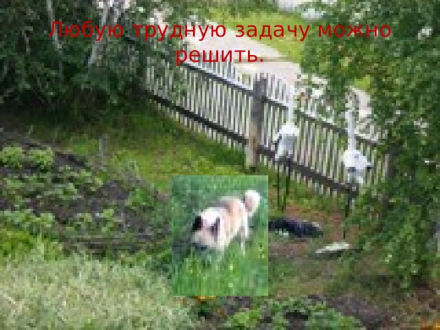 Любую трудную задачу можно решить. 