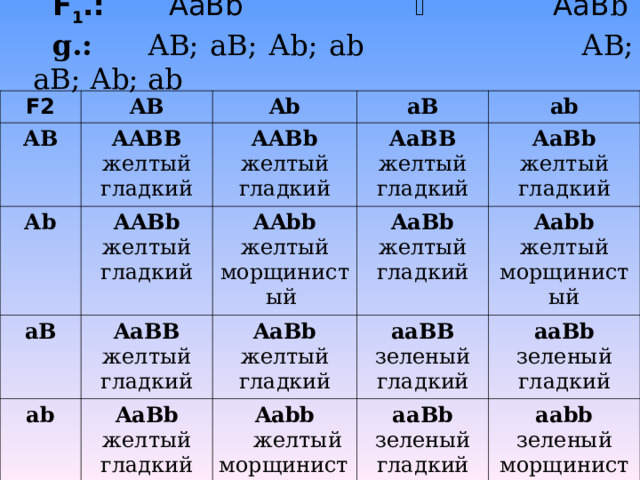 F 1 .:   АаВ b       АаВ b g.:  АВ ; аВ ; А b; ab АВ ; аВ ; А b; ab F2 AB АВ А b Ab AABB желтый гладкий aB AABb желтый гладкий AABb желтый гладкий aB AaBB желтый гладкий ab AaBB желтый гладкий AAbb желтый морщинистый ab AaBb желтый гладкий AaBb желтый гладкий AaBb желтый гладкий AaBb желтый гладкий Aabb желтый морщинистый aaBB зеленый гладкий Aabb  желтый морщинистый aaBb зеленый гладкий aaBb зеленый гладкий aabb зеленый морщинистый 