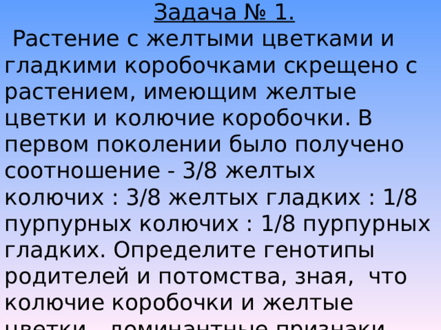 Задача № 1. Растение с желтыми цветками и гладкими коробочками скрещено с растением, имеющим желтые цветки и колючие коробочки. В первом поколении было получено соотношение - 3/8 желтых колючих : 3/8 желтых гладких : 1/8 пурпурных колючих : 1/8 пурпурных гладких. Определите генотипы родителей и потомства, зная, что колючие коробочки и желтые цветки - доминантные признаки. 
