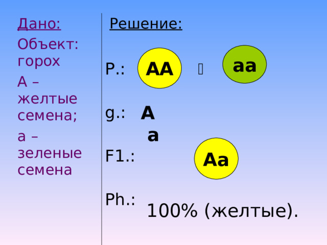 Дано: Объект: горох А – желтые семена; а – зеленые семена  Решение: Р.:   g .: F 1.: Ph .: аа АА А а Аа 100% (желтые). 