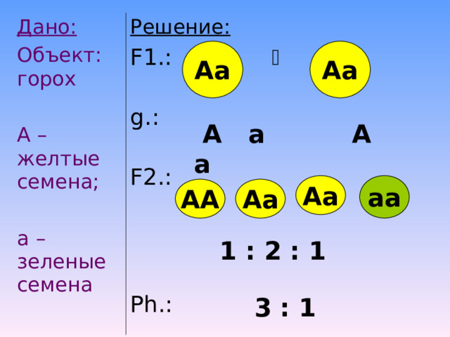 Дано: Объект: горох А – желтые семена; а – зеленые семена Решение: F1 .:   g .: F2 .: Ph .: Аа Аа  А  а А а Аа аа АА Аа 1 : 2 : 1 3 : 1 