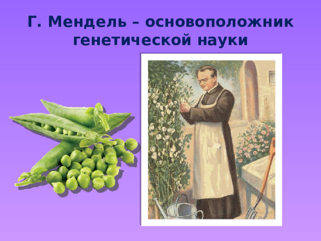 Г. Мендель – основоположник генетической науки 