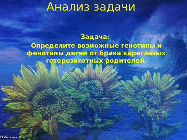 Анализ задачи  Задача:  Определите возможные генотипы и фенотипы детей от брака кареглазых гетерозиготных родителей. 11»Э» класс © ® 