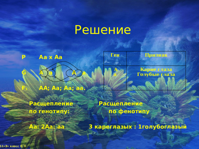 Решение Ген  А Признак а Карие глаза Голубые глаза P   Aa x Aa  G   A a A a  F 1   АА; Аа; Аа; аа.   Расщепление    Расщепление  по генотипу:     по фенотипу   Аа: 2Аа: аа    3 кареглазых : 1голубоглазый 11»Э» класс © ® 