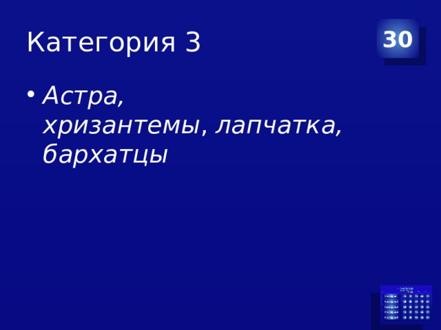 Категория 3 30 Астра, хризантемы ,  лапчатка, бархатцы 