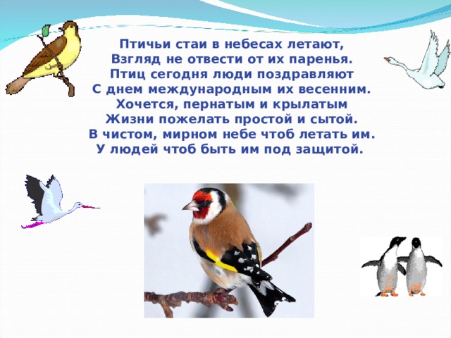 Птичьи стаи в небесах летают,  Взгляд не отвести от их паренья.  Птиц сегодня люди поздравляют  С днем международным их весенним.  Хочется, пернатым и крылатым  Жизни пожелать простой и сытой.  В чистом, мирном небе чтоб летать им.  У людей чтоб быть им под защитой.  