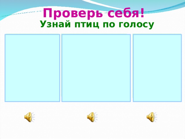 Проверь себя! Узнай птиц по голосу  