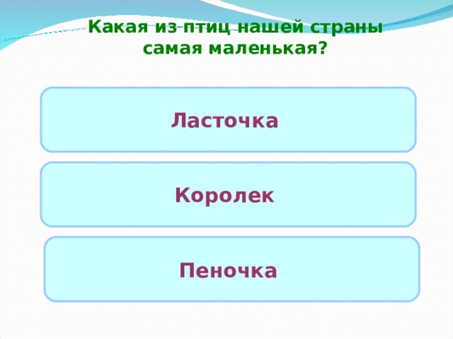 Какая из птиц нашей страны самая маленькая? Ласточка Королек Пеночка  
