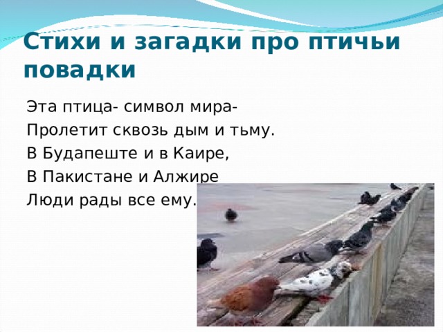 Стихи и загадки про птичьи повадки  Эта птица- символ мира- Пролетит сквозь дым и тьму. В Будапеште и в Каире, В Пакистане и Алжире Люди рады все ему. 