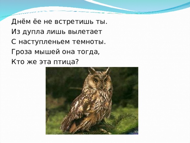  «Он умом богат», - Это в шутку говорят. Не особенно умён. Тем лишь и приметен, Что окраской разноцветен, Напускает важный вид, Что услышит-повторит 