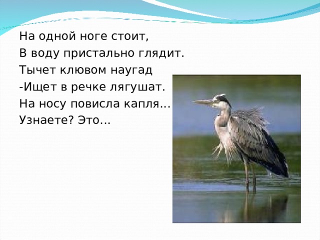 Она черна, она шумна, Стоит галдит, летит - галдит: Гал-гал, гал-гал! Кто угадал? 