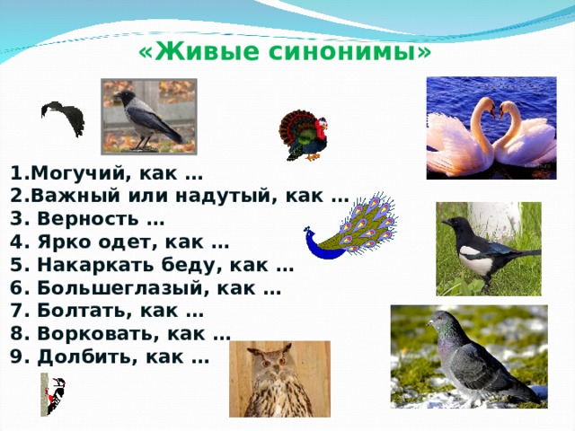 Гуси Соловьи Журавли Утки Вороны Ласточки Голуби Синицы Совы крякают кричат гогочут свистят ухают воркуют каркают щебечут пищат  