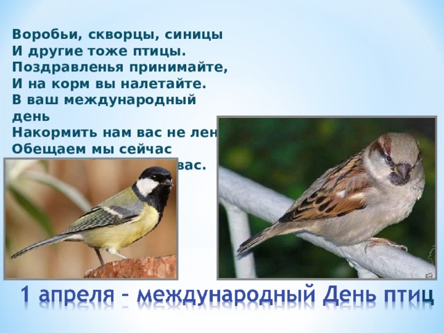 Воробьи, скворцы, синицы  И другие тоже птицы.  Поздравленья принимайте,  И на корм вы налетайте.  В ваш международный день  Накормить нам вас не лень.  Обещаем мы сейчас  Всегда заботиться о вас.   