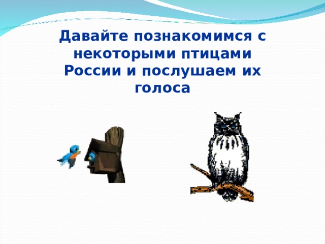 Давайте познакомимся с некоторыми птицами России и послушаем их голоса  