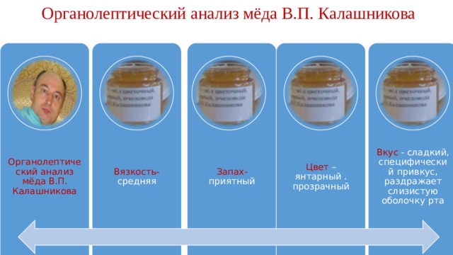 Органолептический анализ мёда В.П. Калашникова Органолептический анализ мёда В.П. Калашникова Вязкость- средняя Запах- приятный Цвет – янтарный . прозрачный Вкус - сладкий, специфический привкус, раздражает слизистую оболочку рта 
