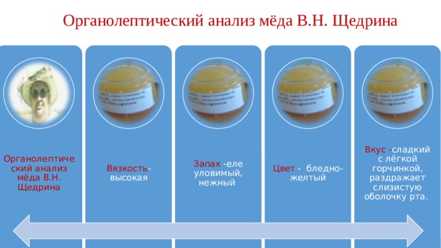 Органолептический анализ мёда В.Н. Щедрина Органолептический анализ мёда В.Н. Щедрина Вязкость - высокая Запах -еле уловимый, нежный Цвет - бледно- желтый Вкус - сладкий с лёгкой горчинкой, раздражает слизистую оболочку рта. 