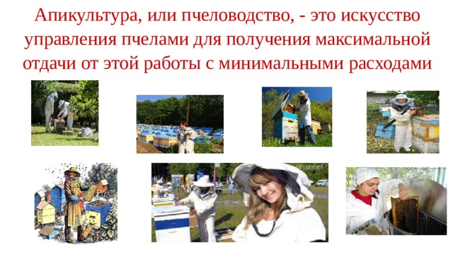 Апикультура, или пчеловодство, - это искусство управления пчелами для получения максимальной отдачи от этой работы с минимальными расходами 