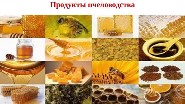 Продукты пчеловодства 