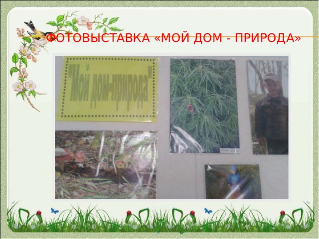 Фотовыставка «мой дом - природа» 