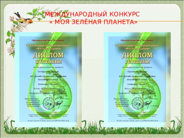 Международный конкурс  « Моя зелёная планета» 