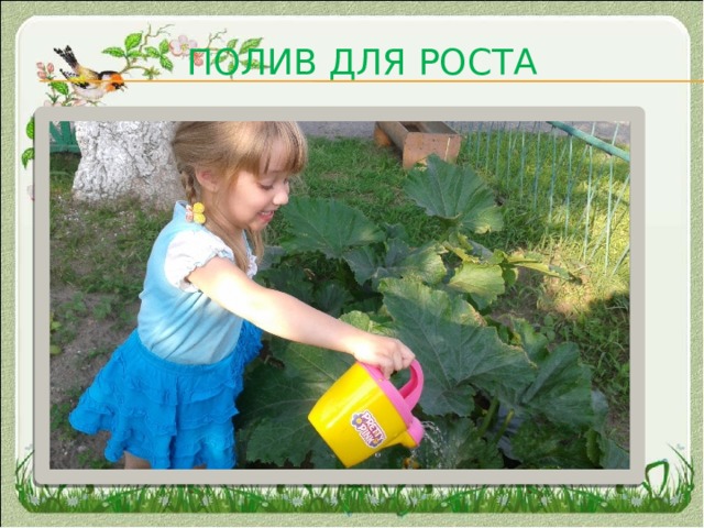 Полив для роста 
