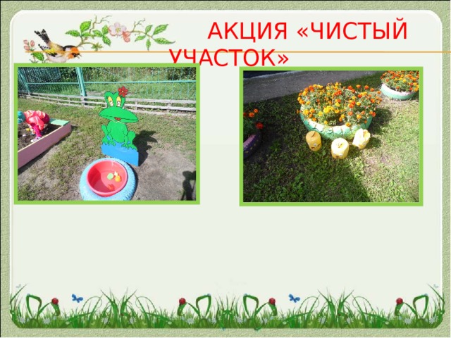  Акция «Чистый участок» 