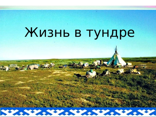 Жизнь в тундре  