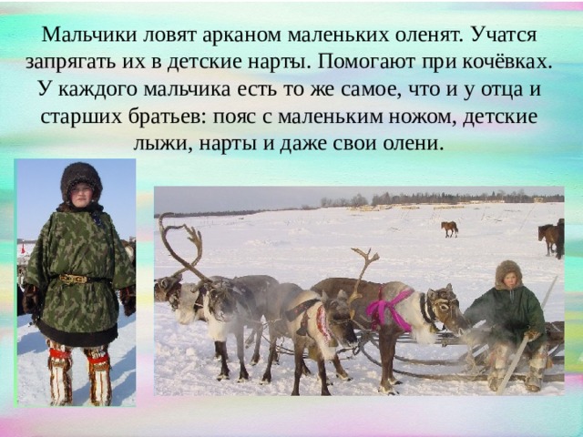 Мальчики ловят арканом маленьких оленят. Учатся запрягать их в детские нарты. Помогают при кочёвках. У каждого мальчика есть то же самое, что и у отца и старших братьев: пояс с маленьким ножом, детские лыжи, нарты и даже свои олени. . 