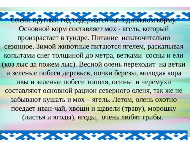 Олени круглый год содержатся на подножном корму. Основной корм составляет мох - ягель, который произрастает в тундре. Питание исключительно сезонное. Зимой животные питаются ягелем, раскапывая копытами снег толщиной до метра, ветками сосны и ели (коз лыс да пожем лыс). Весной олень переходит на ветки и зеленые побеги деревьев, почки березы, молодая кора ивы и зеленые побеги тополя, осины и черемухи составляют основной рацион северного оленя, так же не забывают кушать и мох – ягель. Летом, олень охотно поедает иван-чай, хвощи и щавели (траву), морошку (листья и ягоды), ягоды, очень любят грибы.   