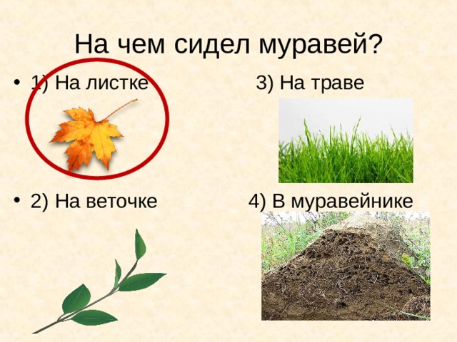 На чем сидел муравей? 1) На листке 3) На траве   2) На веточке 4) В муравейнике 