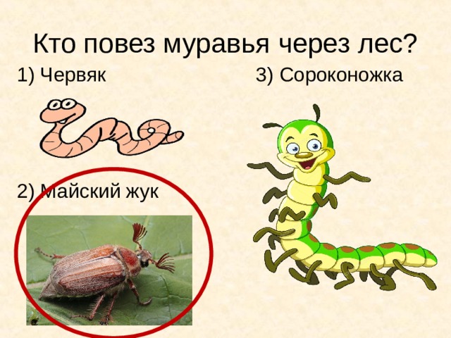 Кто повез муравья через лес? 1) Червяк 3) Сороконожка 2) Майский жук 