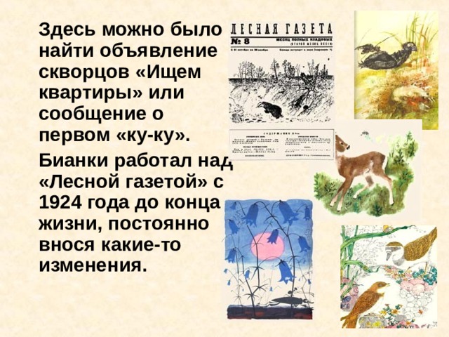   Здесь можно было найти объявление скворцов «Ищем квартиры» или сообщение о первом «ку-ку».   Бианки работал над «Лесной газетой» с 1924 года до конца жизни, постоянно внося какие-то изменения. 