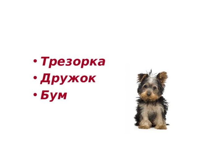 Как зовут собаку в рассказе «Хорошее» Трезорка Дружок Бум 