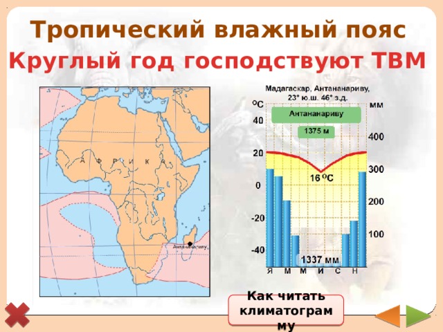 Тропический влажный пояс Круглый год господствуют ТВМ Как читать климатограмму 