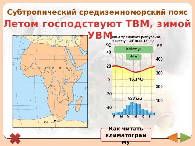 Субтропический средиземноморский пояс Летом господствуют ТВМ, зимой – УВМ Как читать климатограмму 