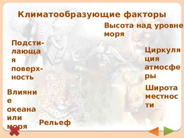 Климатообразующие факторы Высота над уровнем моря Подсти-лающая поверх-ность Циркуляция атмосферы Широта местности Влияние океана или моря Рельеф 