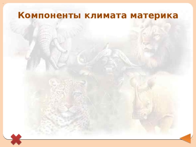 Компоненты климата материка 