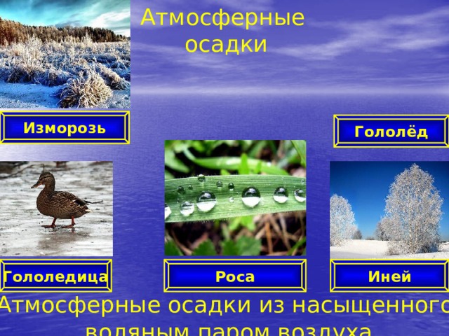 Атмосферные  осадки Изморозь Гололёд Роса Гололедица Иней Атмосферные осадки из насыщенного водяным паром воздуха  