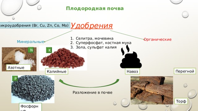 Плодородная почва Удобрения Микроудобрения (Br, Cu, Zn, Co, Mo) Селитра, мочевина Суперфосфат, костная мука Зола, сульфат калия Органические Минеральные N K Азотные Перегной Навоз Калийные P Разложение в почве Торф Фосфорные 