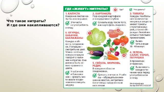 Что такое нитраты? И где они накапливаются? 