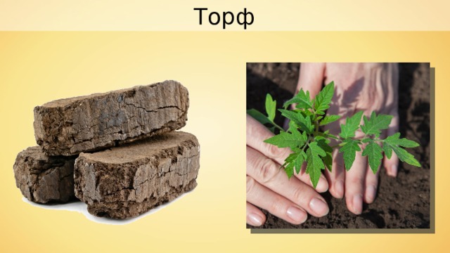 Торф 