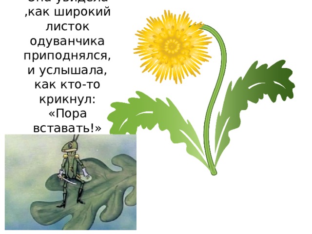 Она увидела ,как широкий листок одуванчика приподнялся, и услышала, как кто-то крикнул: «Пора вставать!»  . 