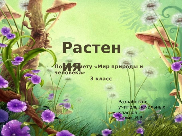 Растения По предмету «Мир природы и человека» 3 класс Разработал: учитель начальных классов Белик И.В. 