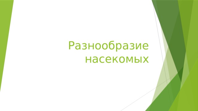 Разнообразие насекомых 