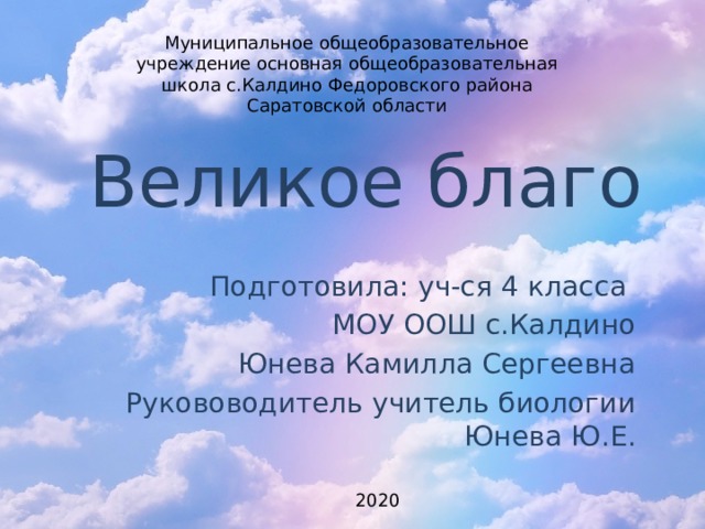 Муниципальное общеобразовательное учреждение основная общеобразовательная школа с.Калдино Федоровского района Саратовской области Великое благо Подготовила: уч-ся 4 класса МОУ ООШ с.Калдино Юнева Камилла Сергеевна Рукововодитель учитель биологии Юнева Ю.Е. 2020 