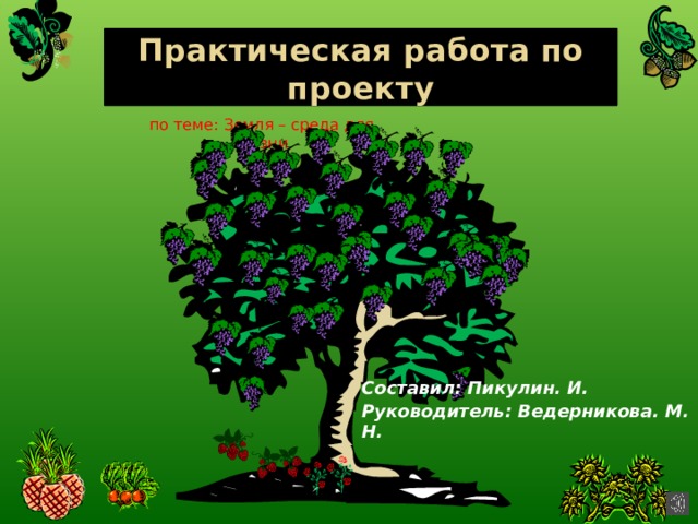 Практическая работа по проекту по теме: Земля – среда для жизни Составил: Пикулин. И. Руководитель: Ведерникова. М. Н.  