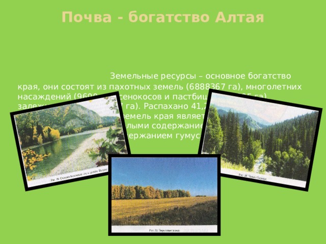 Почва - богатство Алтая  Земельные ресурсы – основное богатство края, они состоят из пахотных земель (6888367 га), многолетних насаждений (9600 га), сенокосов и пастбищ (3917305 га), залежных земель(58537 га). Распахано 41,2% земель края. Показателем пахотных земель края является содержание гумуса. Преобладают почвы с малыми содержанием гумуса , таких земель 86,4%Почв с высоким содержанием гумуса очень мало – всего 2,6%. 