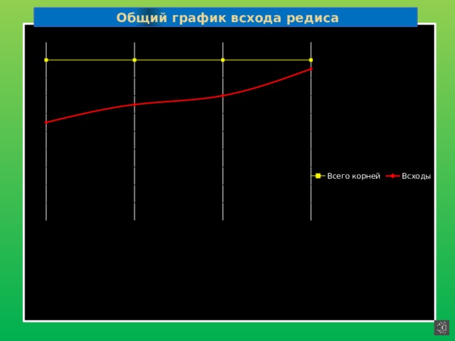  Общий график всхода редиса 